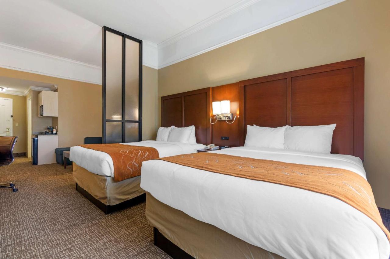 Comfort Suites Savannah North Port Wentworth Extérieur photo